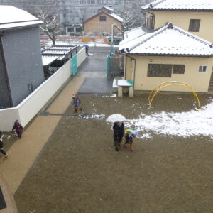 雪が降りました