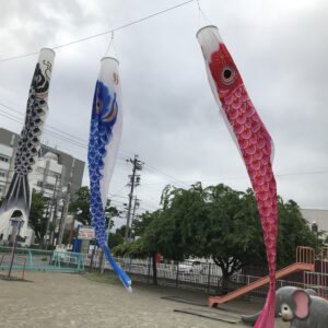 長野ひまわり幼稚園　花回廊🌺🎏