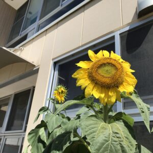 1学期が終わりました！