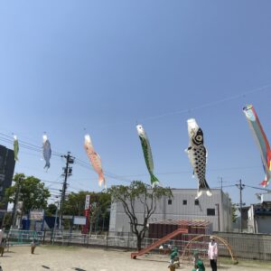 ５月が始まりました🎏