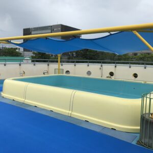 プールの季節になりました🌊