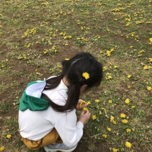 公園　春爛漫