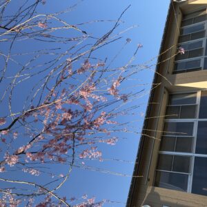 令和８年度スタート！！