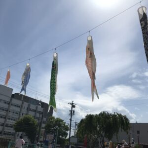 🎏こいのぼりさーん‼