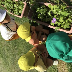 夏の実り🍅🍆とうれしい一輪🌺