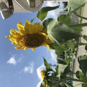 一学期よく頑張りました!!